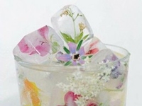 HubPages chipped teacup Floral Ice Cubes